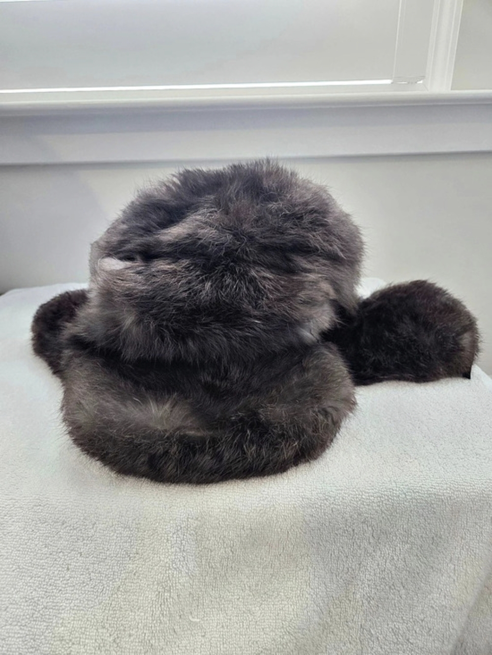 Brown Fur Trapper Hat. Probably rabbit.